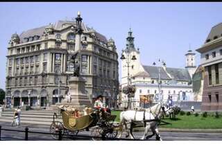 Апартаменты Goldstar Львов Апартаменты с 2 спальнями-66