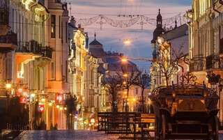 Апартаменты Goldstar Львов Апартаменты с 2 спальнями-68